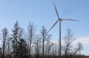 A joint venture between “Latvenergo” and “Latvijas valsts mežu” is established for the development of wind parks  The news